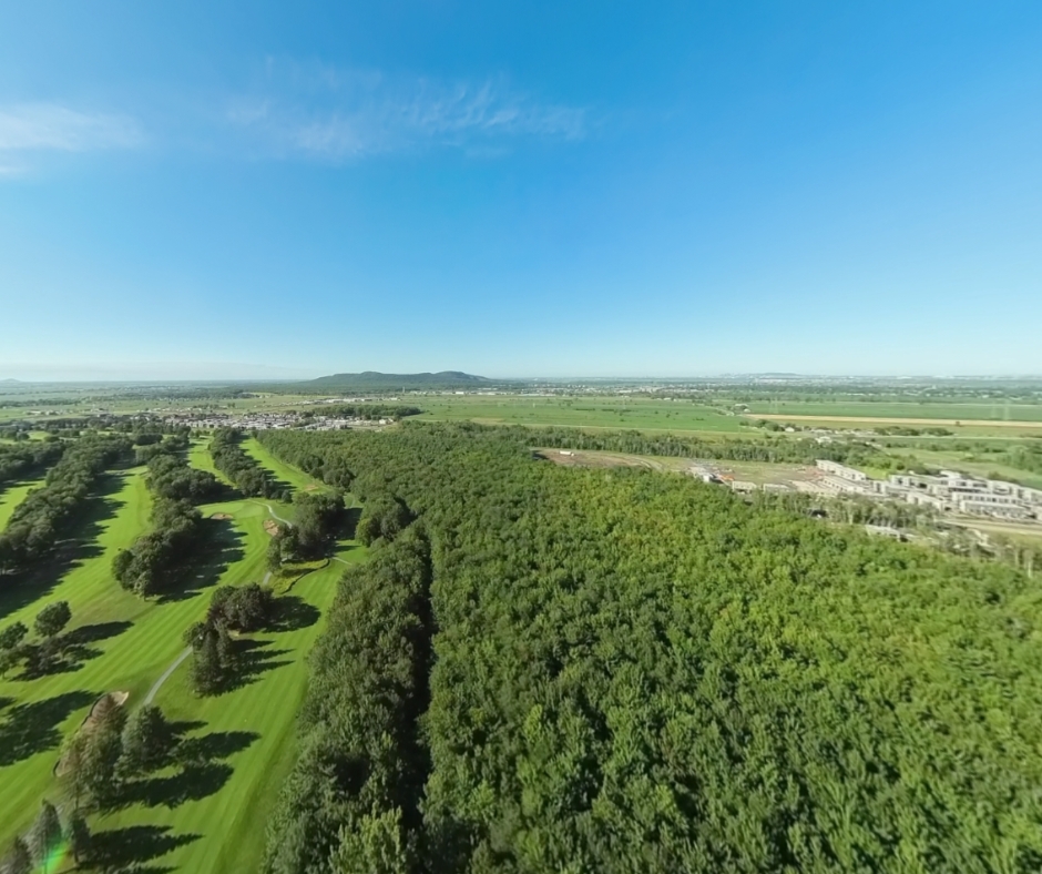 Vue aérienne d'une forêt luxuriante de notre club privé.