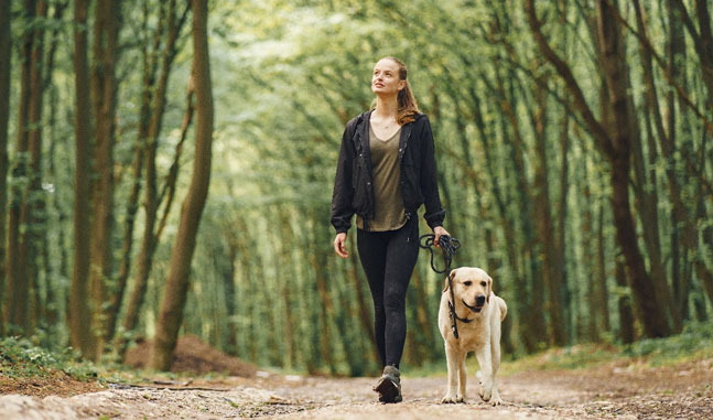 Une femme promenant un chien dans la forêt lors d'une activité extérieure, l'une de nos ressources communautaires.